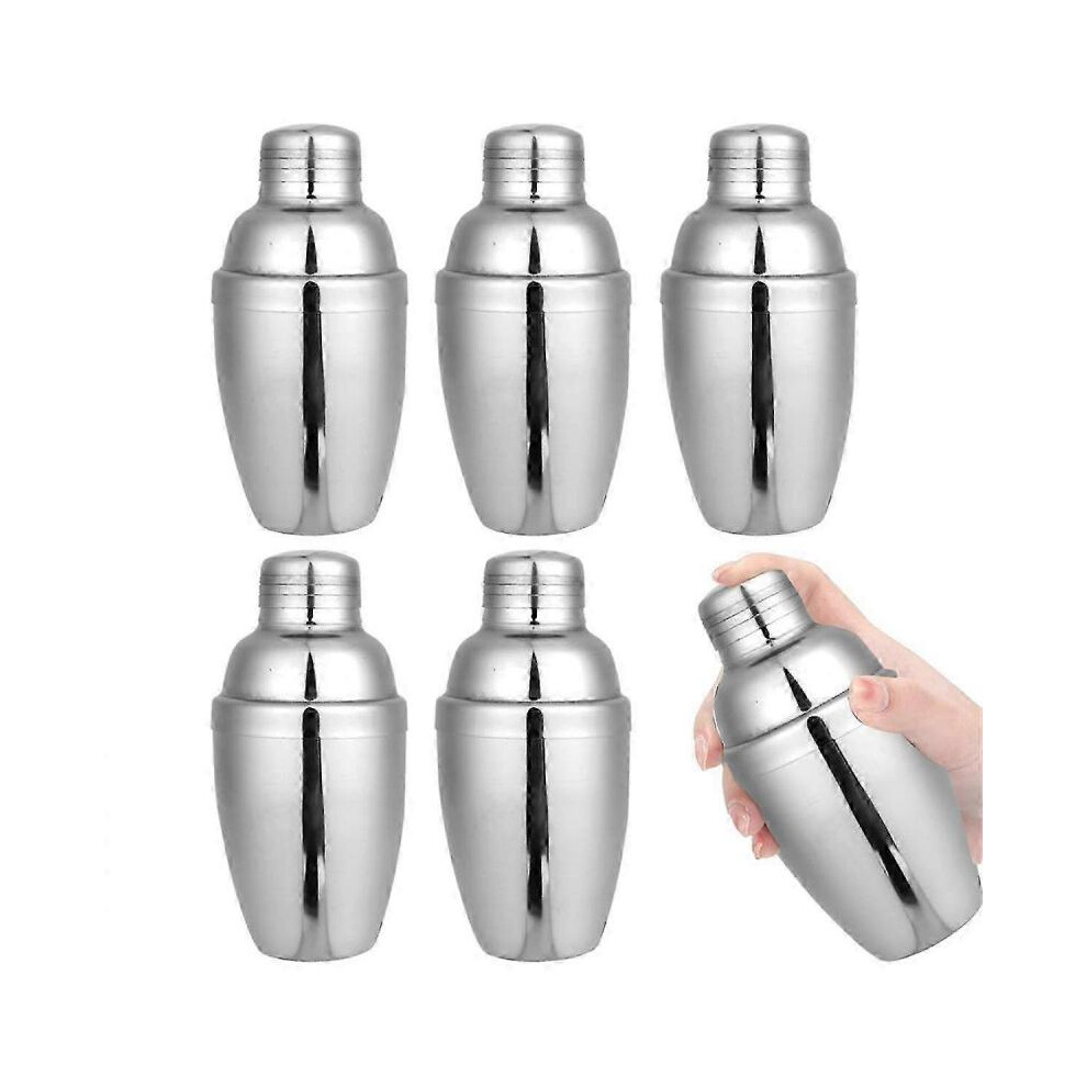6PCS Mini Cocktail Shaker, Drink Shakers Cocktail,Stainless Mini Shaker, Cocktail Shaker with Strainer, 250ml