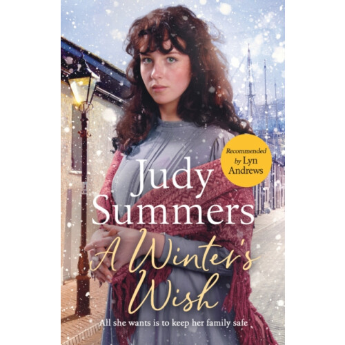 A Winters Wish by Judy Summers Paperback Book