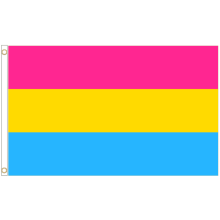 (5' x 3' - 150cm x 90cm) Pansexual Pride LGBTQ+ Polyester Flag