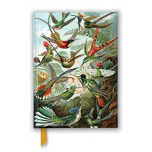 Ernst Haeckel Hummingbirds Foiled Journal Other Book