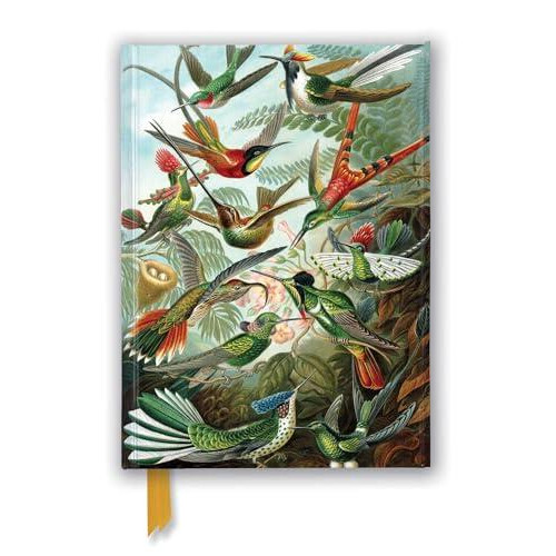 Ernst Haeckel Hummingbirds Foiled Journal Other Book