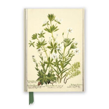 RBGE Charlotte Cowan Pearson Stitchworts Woodruff and Pepperwort Foile