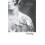 Passing by Nella Larsen Paperback Book 1