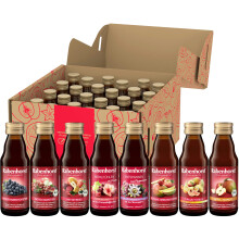 Rabenhorst Probierpaket Mini, 8 Sorten ? 3 Flaschen (24 x 125 ml), 3 l (24er Pack)