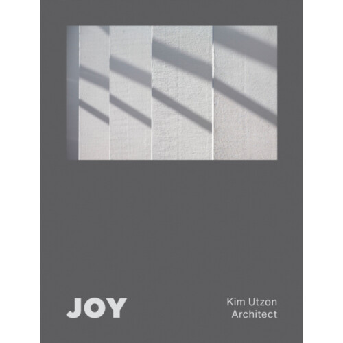 JOY by Aaron Betsky Hardcover Book