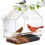 Large wall Plastic birdcage Transparent small pet birdcage 2