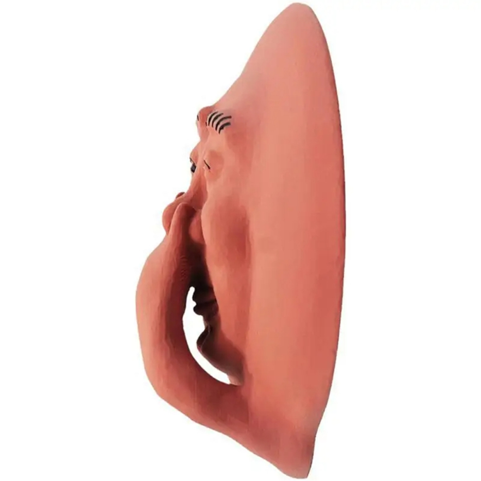 Statua In Resina Decorativa Da Parete Con Faccia Puzzolente E Divertente Da Bagno, 1 Pezzo