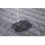 Coperta riutilizzabile per assorbenti per urina per cani, 70x100 cm 3