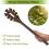 Walnut Wood Spaghetti Pasta Server Long Handle Wooden Pasta Spoon 6