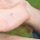 Στρογγυλή σφραγίδα νεκρού κουνουπιού Mosquito Toys A 4