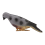 Eva Foam 3D Pigeon Target Field Hunting Simulation Archery Target 2