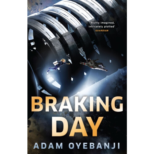 Braking Day by Adam Oyebanji Paperback Book