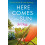 Here Comes the Sun by Jo Clegg Paperback Book 1
