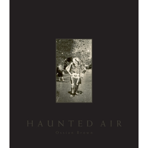 Haunted Air by Ossian Brown Hardcover Book