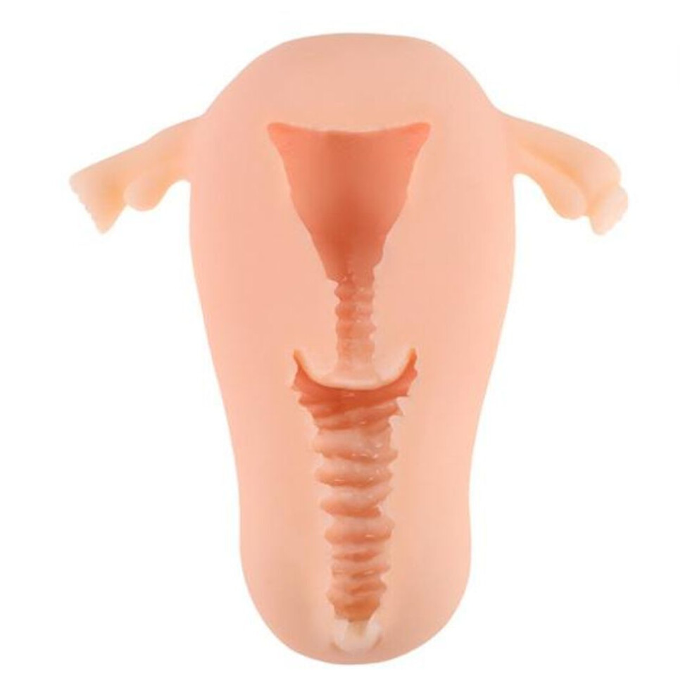 Portable Multifunctional Durable Soft Glans Penis Exerciser Pussy Doll Cup Male Sex Toys