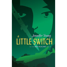 A Little Switch by Jennifer Young Paperback Book