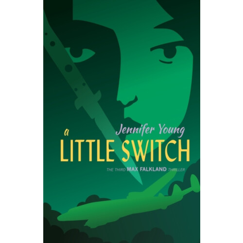 A Little Switch by Jennifer Young Paperback Book