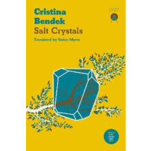 Salt Crystals by Cristina Bendek Paperback Book
