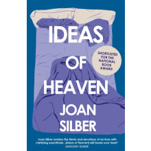 Ideas of Heaven by Joan Silber Paperback Book