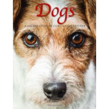 Dogs by Tom Jackson Hardcover Book