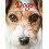 Dogs by Tom Jackson Hardcover Book 1