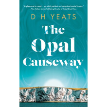 The Opal Causeway by D H Yeats Paperback Book