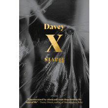 X by Davey Davis Paperback Book