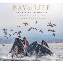 Bay of Life by Chris Eckstrom Hardcover Book