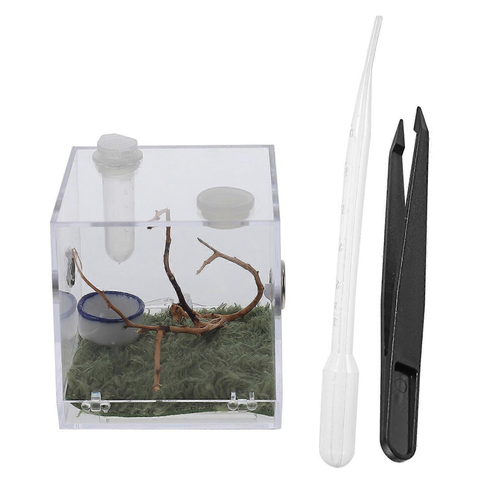 Kricely (6.7X6.7x7cm, One Size) 1 Set Of Spider Habitat Box Small Pet Insect Breeding Box Jumping Spider Micro Box