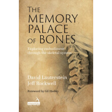The Memory Palace of Bones by David Lauterstein Paperback Book