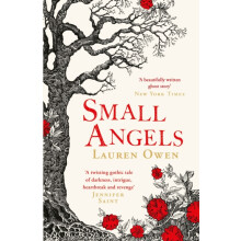 Small Angels by Lauren Owen Paperback Book