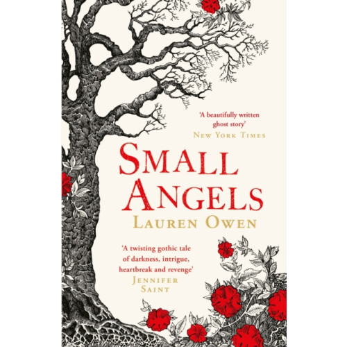 Small Angels by Lauren Owen Paperback Book