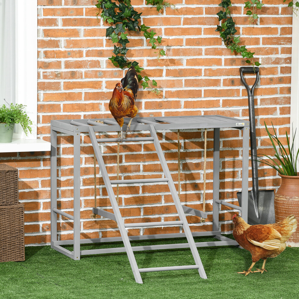 Bobobiy Grey Chicken Activity Play With Swing Set For 3-4 Chickens, Wooden Chicken Coop, - Image 3