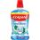 Colgate Colgate Plax Cool Mint Alcohol Free No Burn Experience - 24/7 Plaque 1