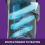 Vytronix Vytronix Blue Bagless Cylinder Vacuum Cleaner 6