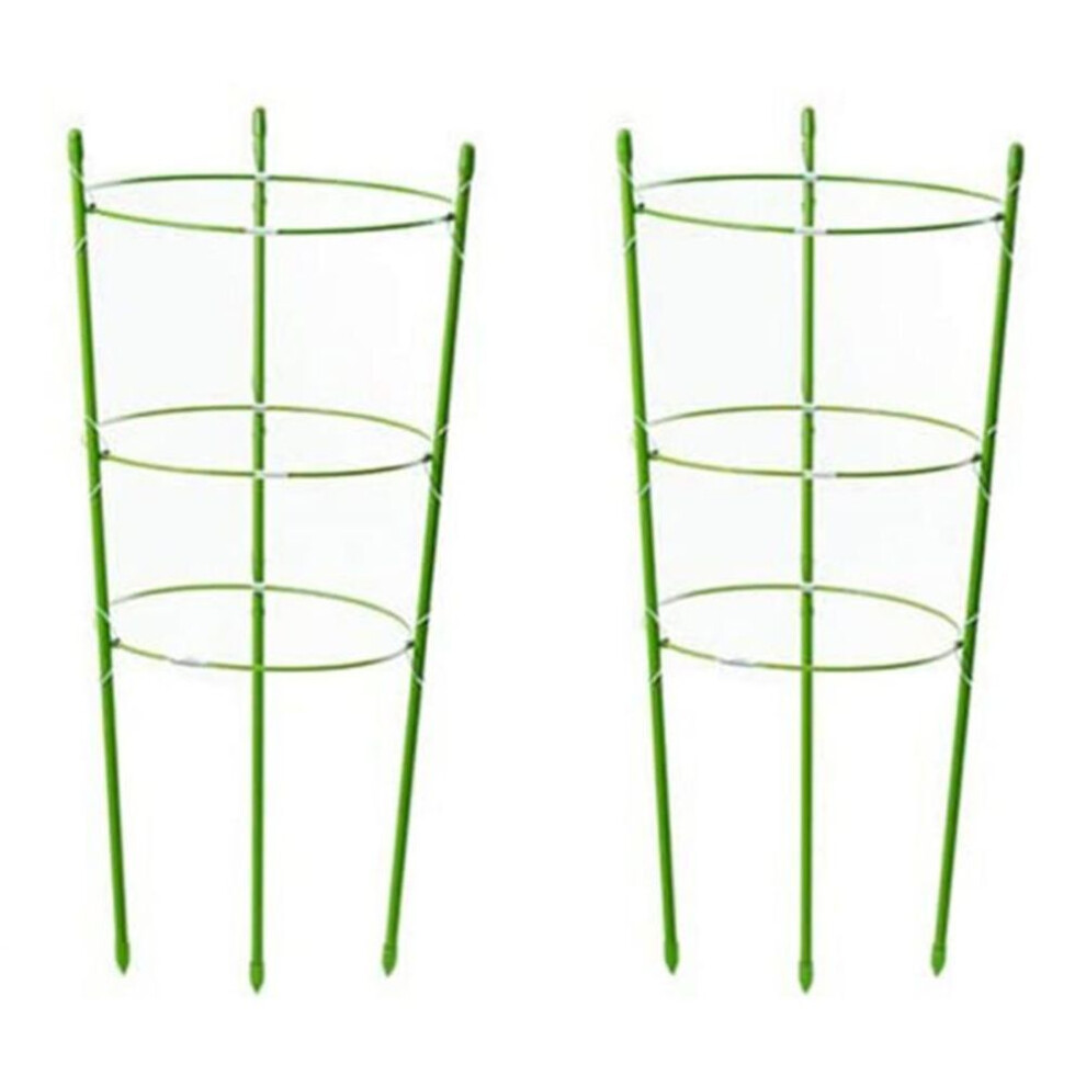 2 Pieces Garden Plant Support Tomato Cage, Upgrade 45 Cm Plant Lattice Frame Kit
