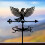 A Rust-Resistant Coated Outdoor Eagle Weather Vane 5