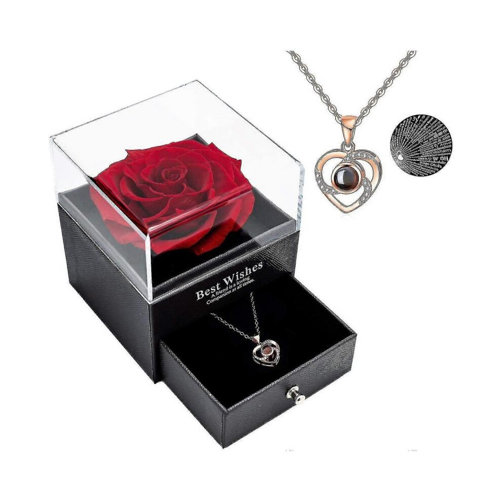Preserved Real Rose with Love You Necklace In 100 Languages Gift Set