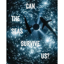 Can the Seas Survive Us by John Kenneth Paranada Paperback Book
