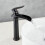 Single Handle Bathroom Sink Faucet, Black, High Spout 2
