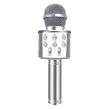 Wireless Karaoke Microphone for Kids