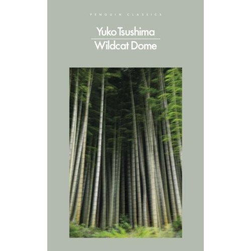 Wildcat Dome by Yuko Tsushima Paperback Book