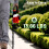 2-Stroke Gasoline Hedge Trimmer 22.5CC Double-Blade Tea Tree Trimmer 10