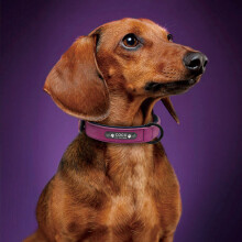 Soft Leather Personalized Dog Collar Engrave ID Name Custom for Small Large Dogs