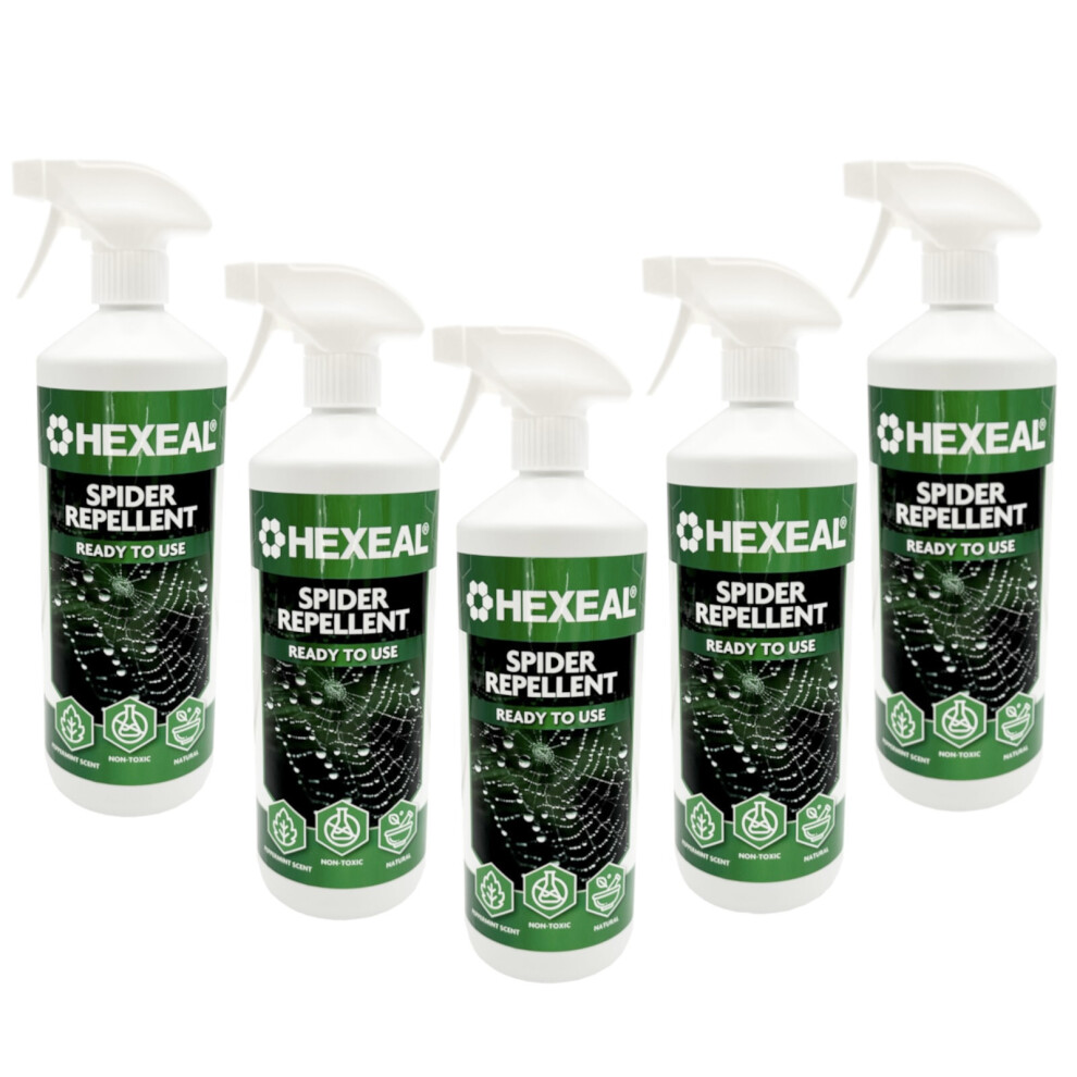 Hexeal Spider Repellent 5L Spray - Peppermint, Non-Toxic & Chemical Free