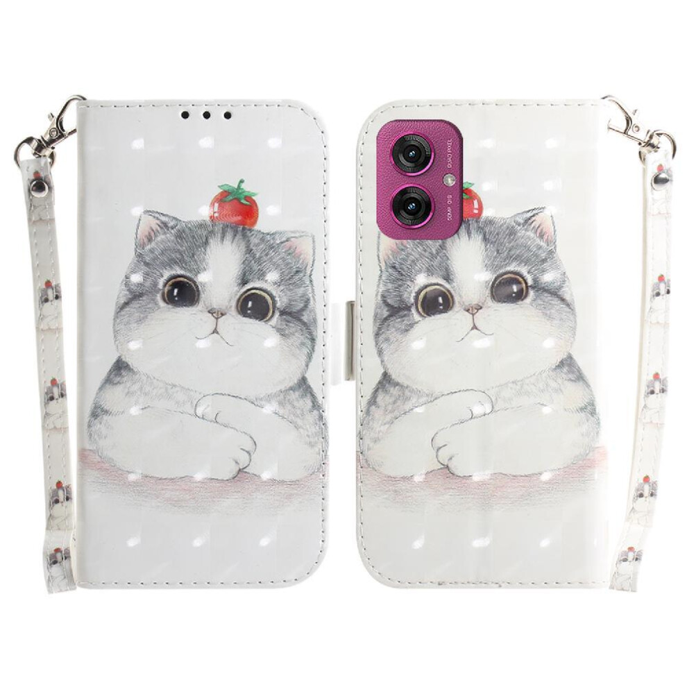 (C10) 3D Painted Protective Case For Motorola Moto G55 Pu Leather Card Slots Magnetic Closure Lanyard Wallet 764563436354