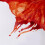 Winsor & Newton piirustusmuste 14ml pullo Burnt Sienna 2