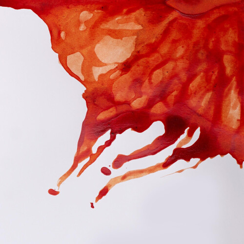 Winsor & Newton piirustusmuste 14ml pullo Burnt Sienna 1