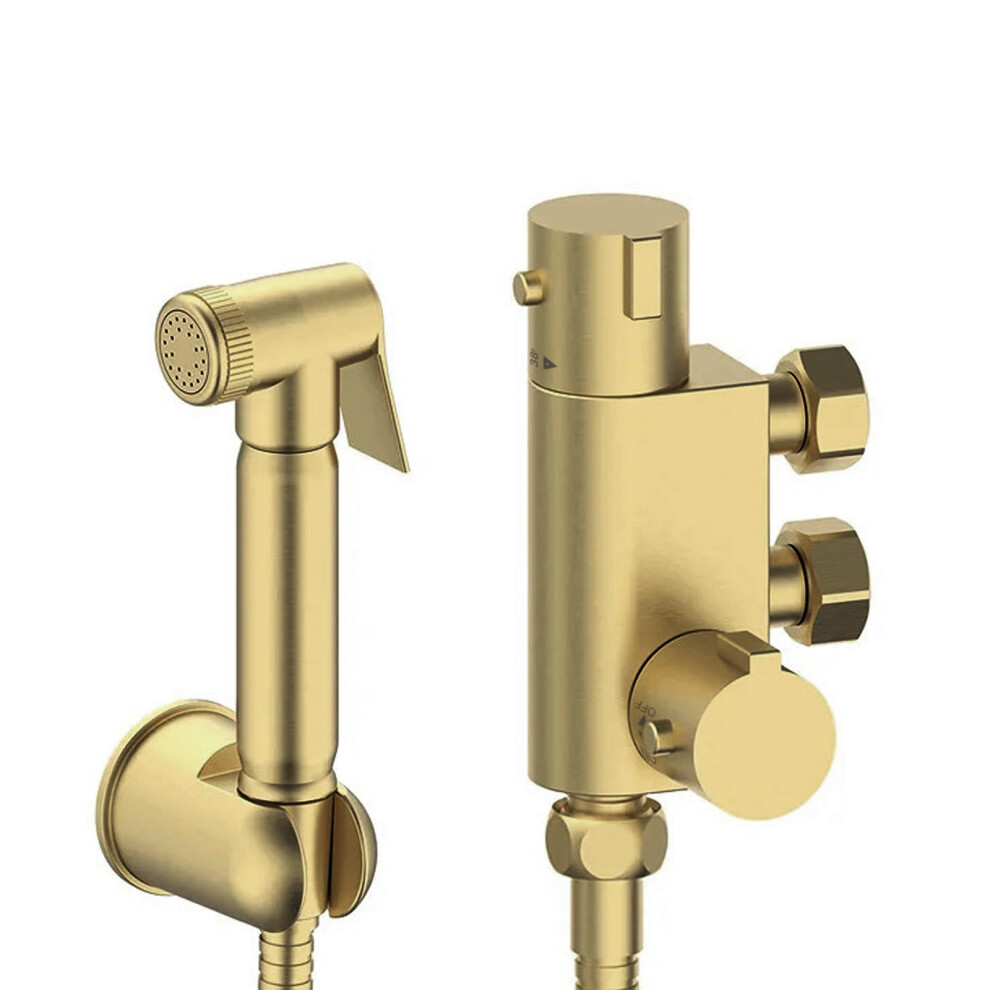 Nes Home Bidet Douche & Thermostatic Bar Valve With Spray Kit Brushed Brass
