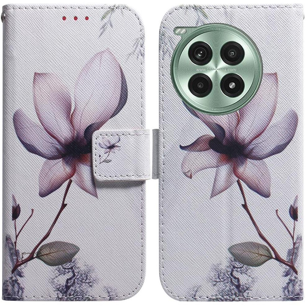 (C9 ) Flip Case For Oneplus Ace 3 Pro Wallet Painted Pu Leather Card Slots Magnetic Closure 764563447053